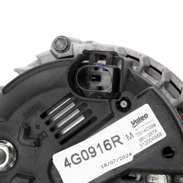 ELE-ALT-RID-VW-NEW-0084 #4