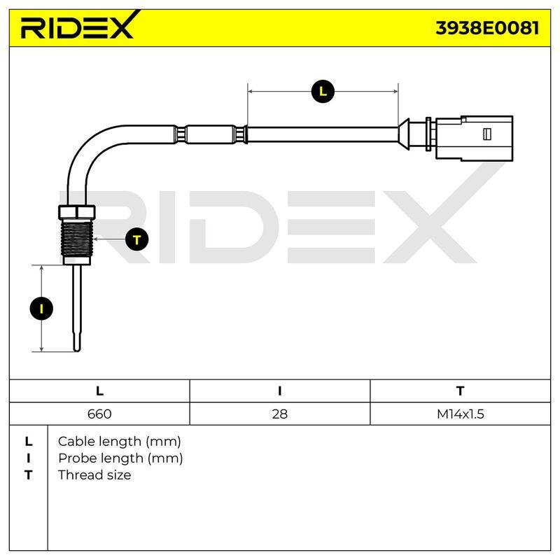 ELE-SEN-RID-VW-NEW-0040 #1