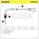 ELE-SEN-RID-VW-NEW-0040 #1