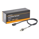 ELE-SEN-RID-VW-NEW-0053 #2