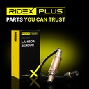 ELE-SEN-RID-SEA-NEW-0203 #4
