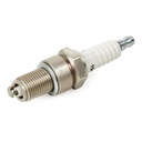 IGN-SPK-RID-TA1-NEW-0002 #1
