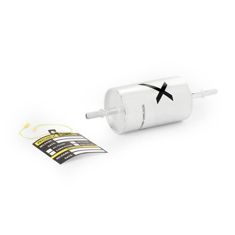 FIL-FUE-RID-MAZ-NEW-0012 #1