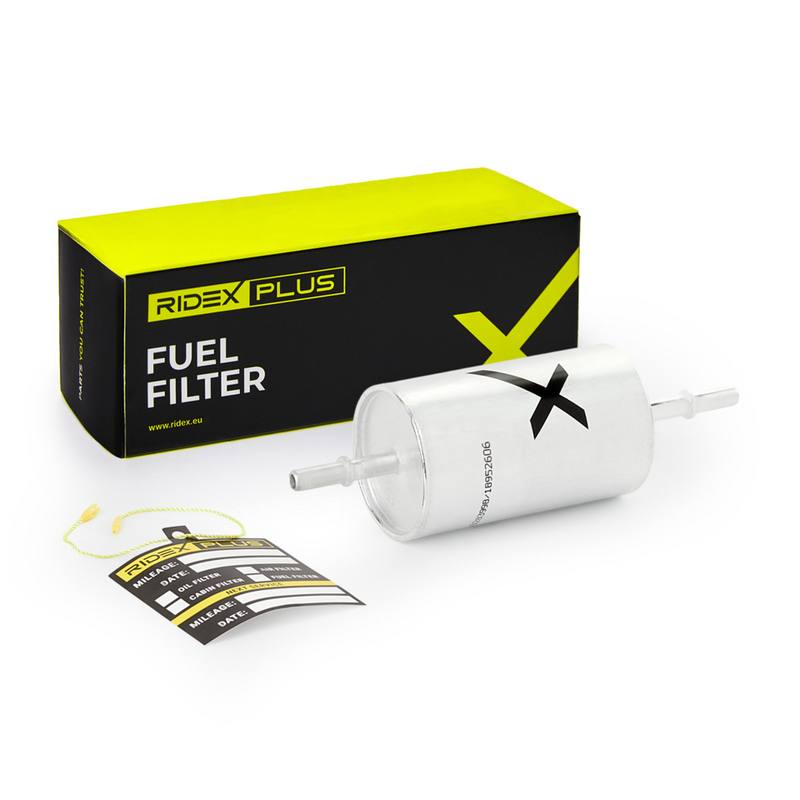 FIL-FUE-RID-MAZ-NEW-0012 #2
