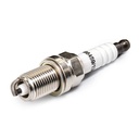 IGN-SPK-RID-CHR-NEW-0003 #1