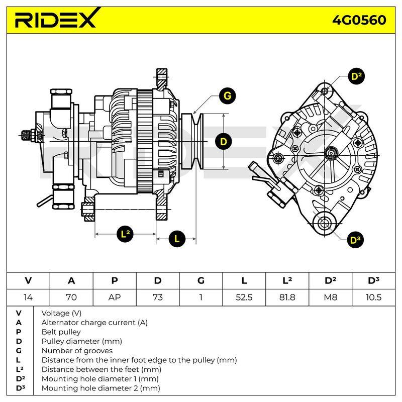 ELE-ALT-RID-SUZ-NEW-0015 #1