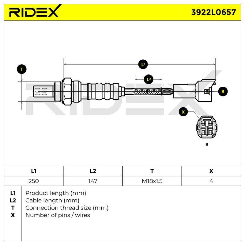 ELE-SEN-RID-SUZ-NEW-0016 #1