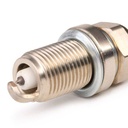 IGN-SPK-RID-NIS-NEW-0001 #1