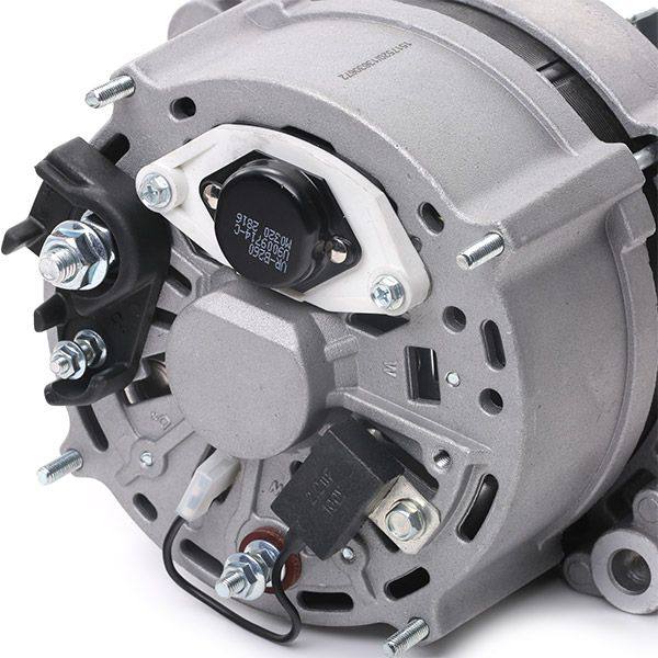 ELE-ALT-RID-VW-NEW-0061 #1