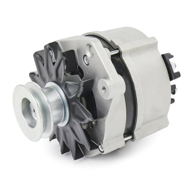 ELE-ALT-RID-VW-NEW-0002 #1