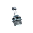 SUPP-6358-2462S0097 #3