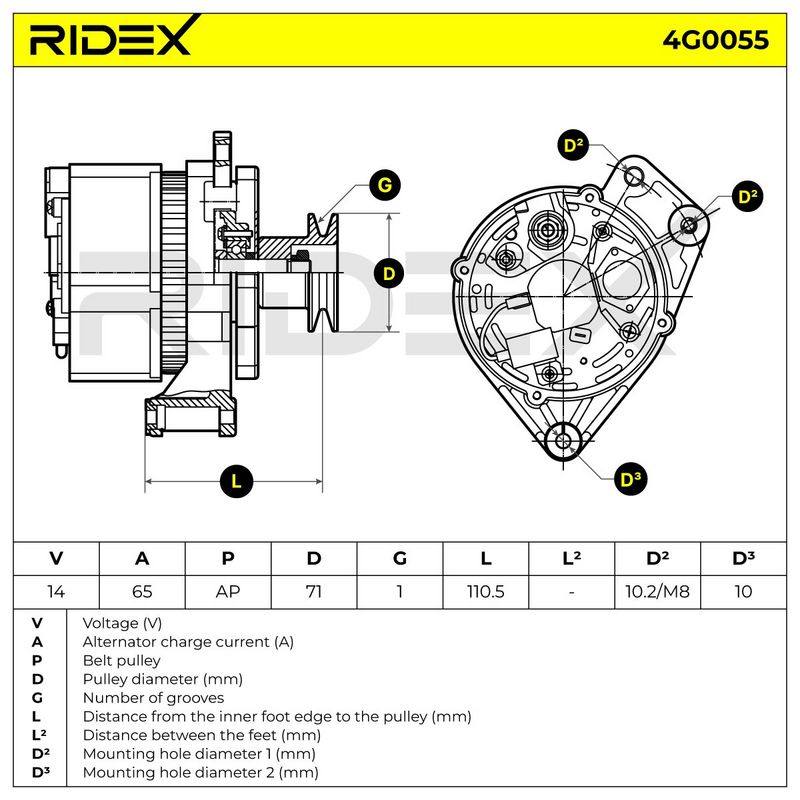 ELE-ALT-RID-VW-NEW-0055 #4