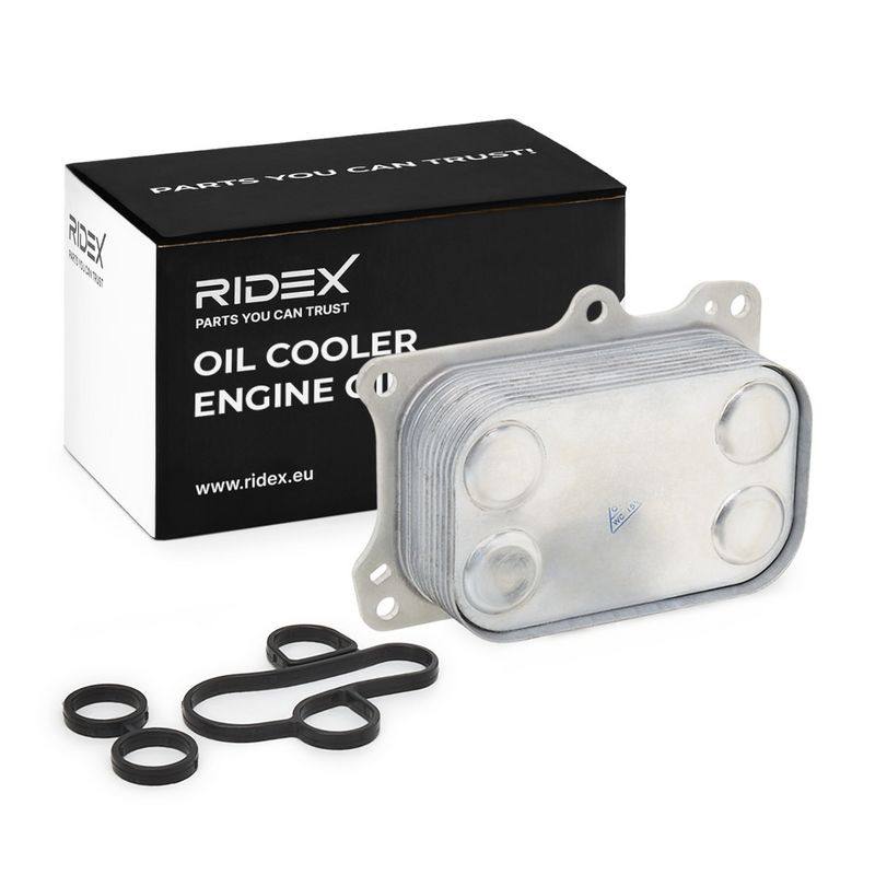ENG-MSC-RID-LAN-NEW-0019 #1