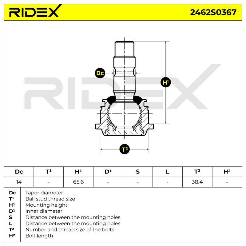 SUS-BJT-RID-LAN-NEW-0002 #2