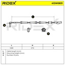 ELE-SEN-RID-FIA-NEW-0010 #4