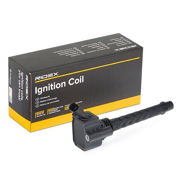 IGN-ICO-RID-LAN-NEW-0005 #1