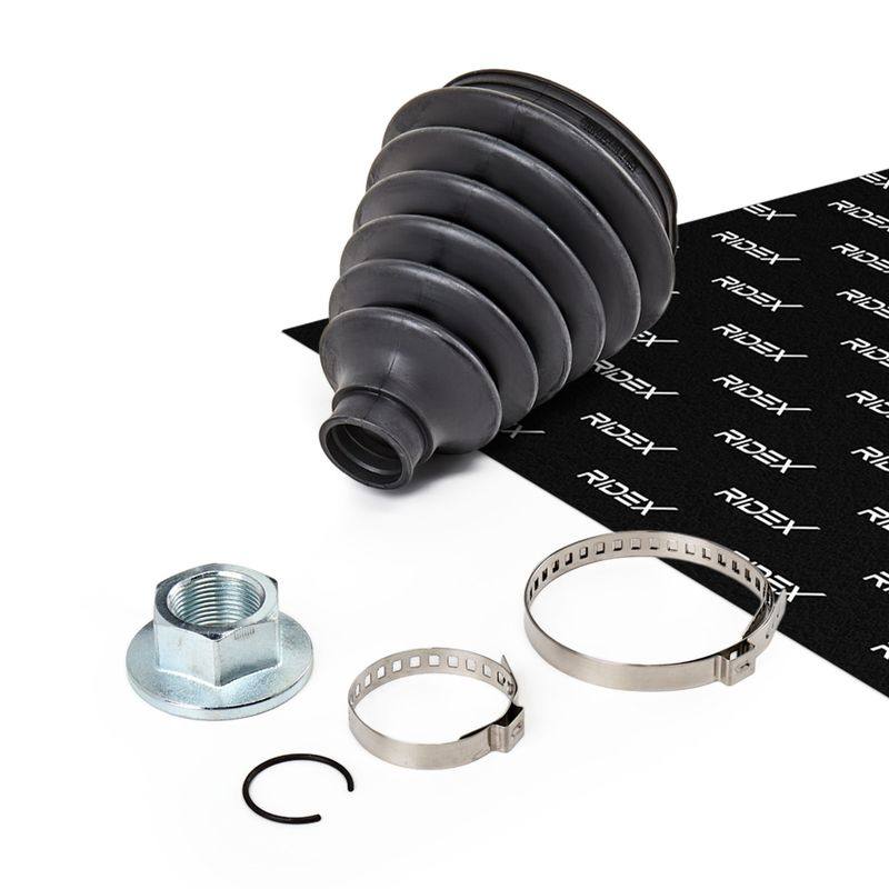 TRN-MSC-RID-BMW-NEW-0011 #3