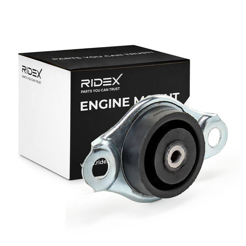 ENG-MSC-RID-LAN-NEW-0056 #1