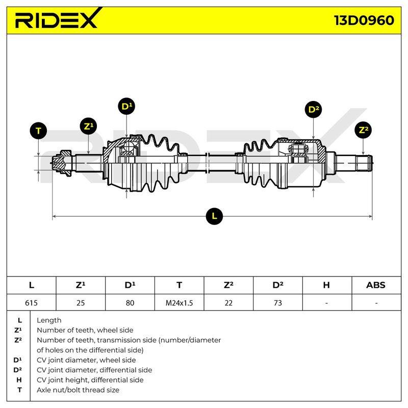 TRN-MSC-RID-LAN-NEW-0066 #2