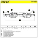 TRN-MSC-RID-LAN-NEW-0066 #2