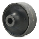 SUS-CAR-RID-CIT-NEW-0143 #2