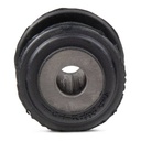 SUS-CAR-RID-CIT-NEW-0147 #1