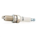 IGN-SPK-RID-CAG-NEW-0001 #4