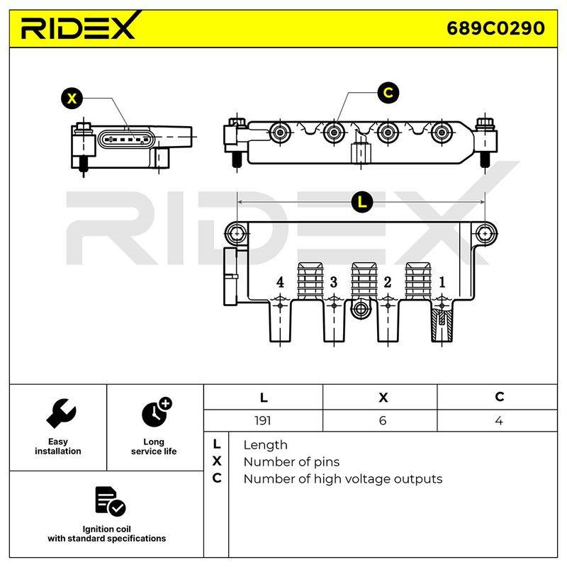 IGN-ICO-RID-LAN-NEW-0016 #3