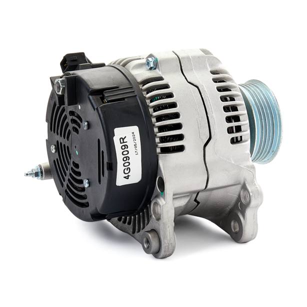 ELE-ALT-RID-VW-NEW-0036 #3