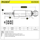 SUS-SHA-RID-VW-NEW-0081 #4
