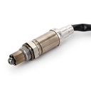 ELE-SEN-RID-BMW-NEW-0222 #2