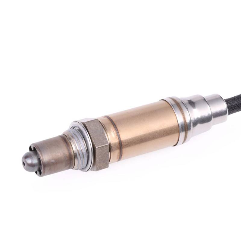 ELE-SEN-RID-BMW-NEW-0240 #1