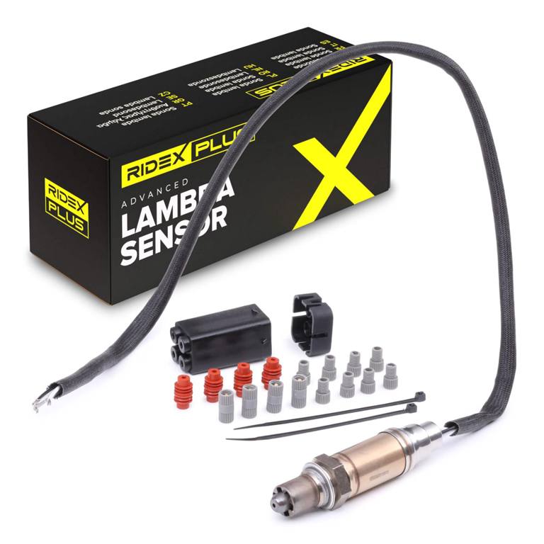 ELE-SEN-RID-BMW-NEW-0240 #2