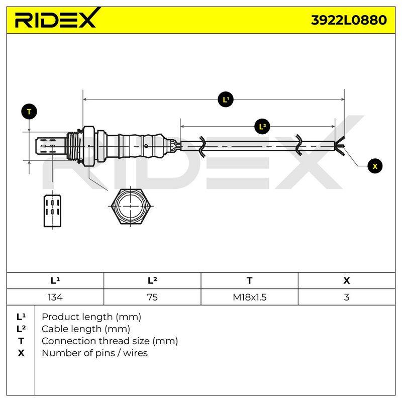 ELE-SEN-RID-PLY-NEW-0001 #4