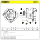 ELE-ALT-RID-VW-NEW-0052 #2