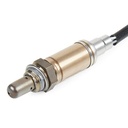 ELE-SEN-RID-VW-NEW-0169 #1