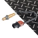 ELE-SEN-RID-KIA-NEW-0028 #1