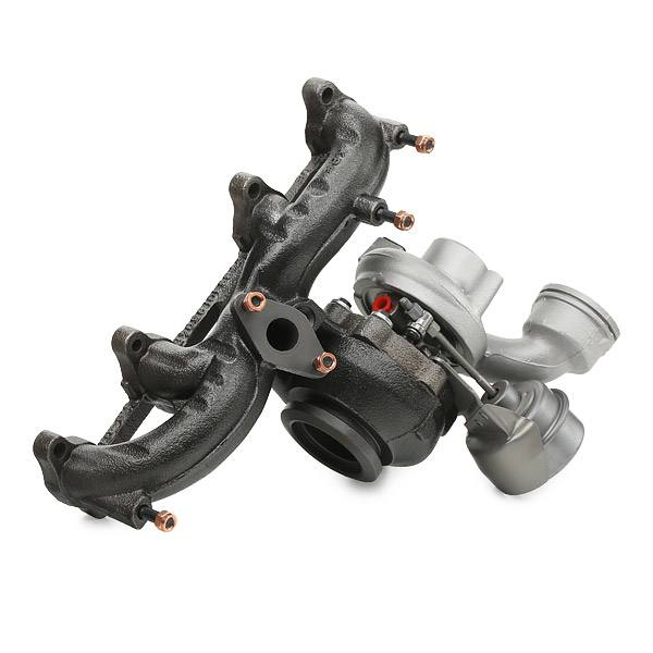 ENG-MSC-RID-VW-NEW-0172 #1