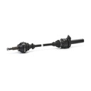 TRN-MSC-RID-VW-NEW-0156 #1