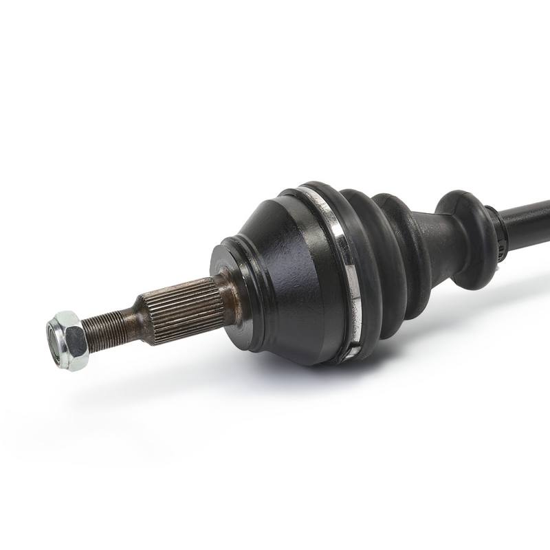 TRN-MSC-RID-VW-NEW-0156 #3