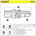 TRN-MSC-RID-VW-NEW-0151 #1