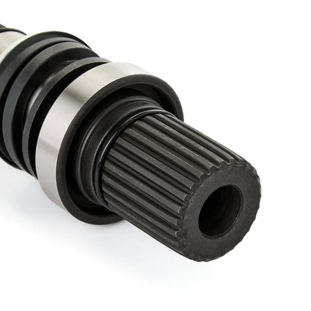 TRN-MSC-RID-VW-NEW-0128 #3