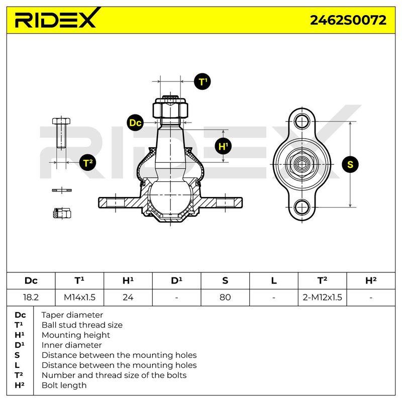 SUS-BJT-RID-VW-NEW-0018 #3