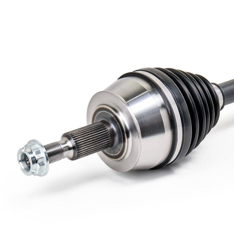 TRN-MSC-RID-VW-NEW-0217 #3