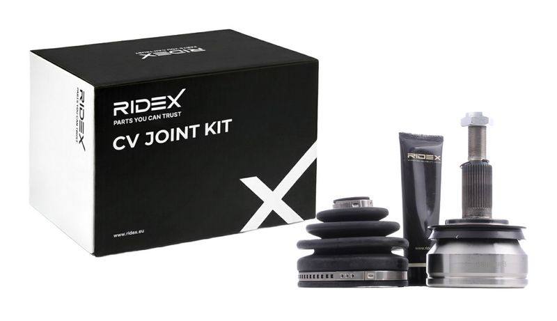 TRN-MSC-RID-VW-NEW-0219 #4