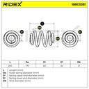 SUS-MSC-RID-VW-NEW-0254 #1