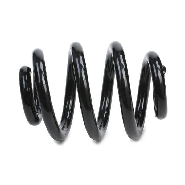 SUS-MSC-RID-VW-NEW-0254 #3