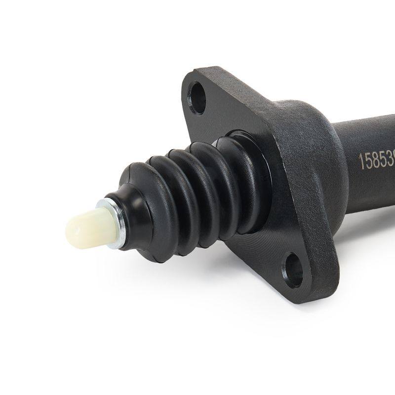 TRN-MSC-RID-VW-NEW-0123 #1