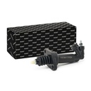 TRN-MSC-RID-VW-NEW-0123 #2