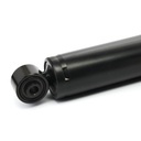 SUS-SHA-RID-VW-NEW-0093 #1
